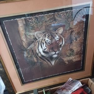 Male tiger picture home interiors
